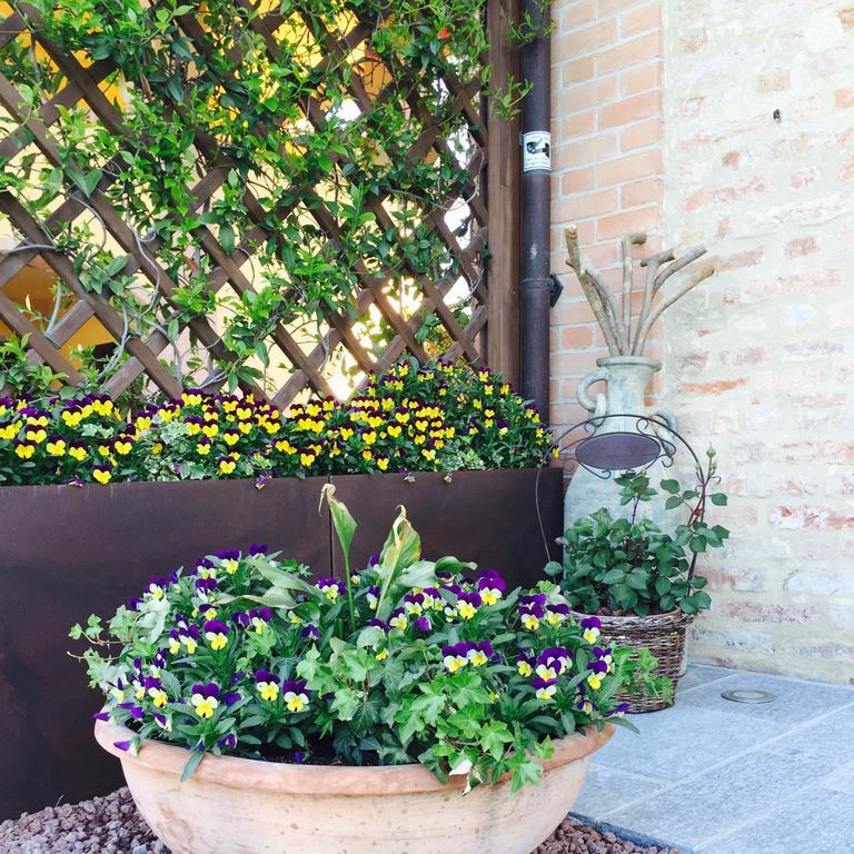 Cascina Cortine Bed & Breakfast Guarene Exterior photo