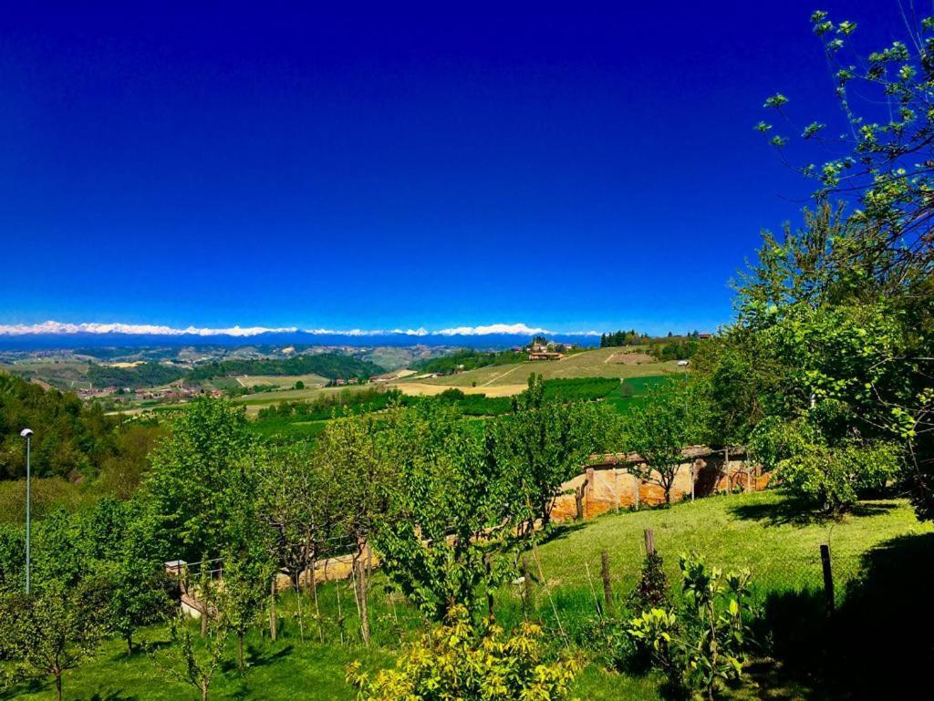 Cascina Cortine Bed & Breakfast Guarene Exterior photo